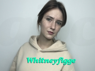 Whitneyfigge