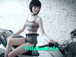 Wildcatcute