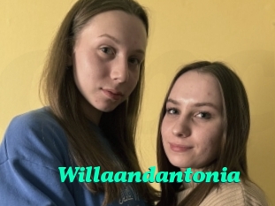 Willaandantonia