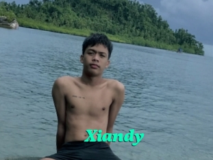 Xiandy