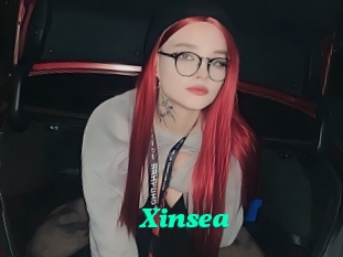 Xinsea