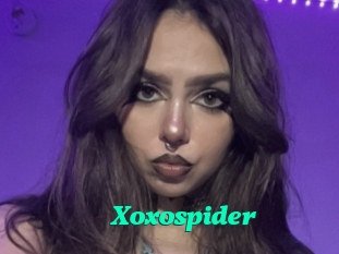 Xoxospider