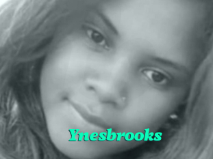 Ynesbrooks