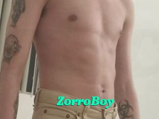 ZorroBoy