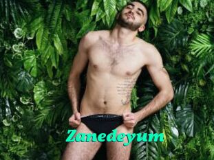 Zanedeyum