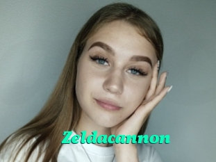 Zeldacannon