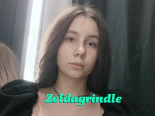 Zeldagrindle